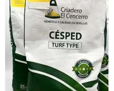 Semilla Cesped Bermuda X 25kg