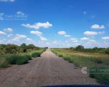 Se Vende Campo Ganadero en Mendoza, Rio Diamante. San Rafael