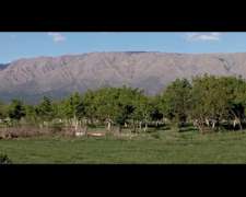 Campo Nogales Merlo San Luis