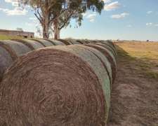 Rollos de MOA sin Trillar Pura Hoja