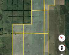 Vendo Campo Mixto 475 Has