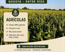 45 Has Agricolas Lucas Gonzalez