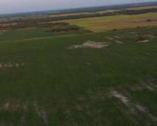 Chaco Santa Sylvina 150 Has Agrícolas