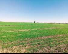 400 Hectáreas de Campo Agrícolas