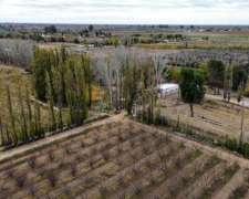 Venta de Finca 172 Ha en 3 de Mayo -lavalle Mendoza