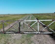 Vendo 1400 Has Ganaderas Olavarria