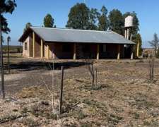 Campo Empastado para 800 Vacas