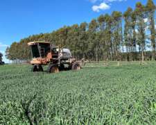 Fulmigador Jactó Uniport 2000