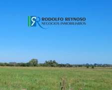 22 HA. en Villa Elisa - Entre Ríos