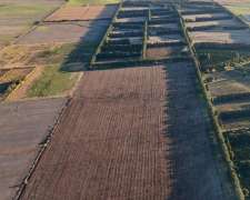Oportunidad Campo de 31 Hectáreas Agricola