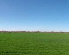 8 Ha Campo Agrícola.- a Pocos km de Nogoyá