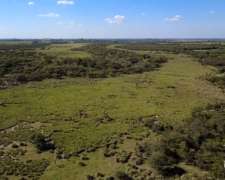 Alquiler Campo Ganadero de 92,56 Ha en Grutly
