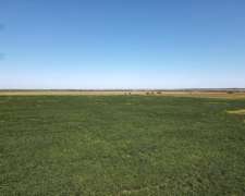 Venta. 174 Has Mixtas en Departamento San Jerónimo.