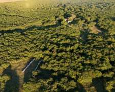 Campo Ganadero sin Mejoras en Perdices Gualeguaychu