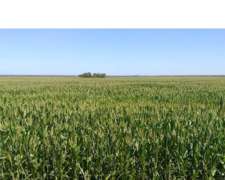 Vendo Campo Obispo Trejo