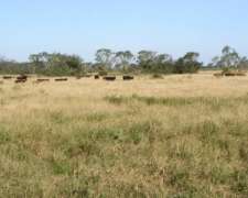 Campo en Argentina para Explotación de Sales Blancas y Rosas