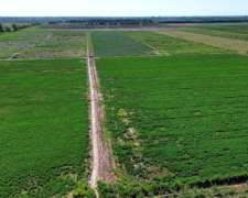 Finca Agrícola de 76 Ha con Doble Derecho de Riego