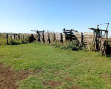 Venta Campo Ganadero Rauch 617 Ha con 150 Ha Agrícolas