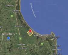 Oportunidad 4500 Ha Ganaderas 35 Kg /HA Campo Costero