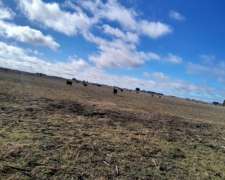 Vdo 125 Has Agrícolas a 10 km de Ruta Casa Molino 500.000