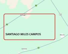 Alcorta Mixto 487 Has