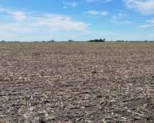 Campo Agricola 65 Hectareas