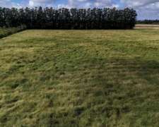 Colonia Pando, San Roque, Corrientes - 50 Ha