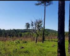 Campo/chacra en San Ignacio Misiones