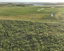 Paraje Pavón, General Lavalle, Buenos Aires - 4.784 Ha