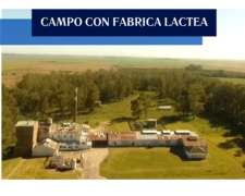 Campo con Fabrica Lactea (germania BS AS)