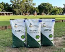 Semilla Cesped Eminence Rye Grass X 20kg