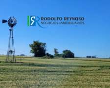 450 HA. Sobre Ruta Prov. N°38