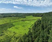 Pcia. De Misiones - Pozo Azul 776 Ha