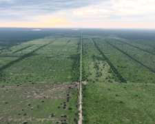 Santiago del Estero Gran Campo Ganadero 4.300 Has