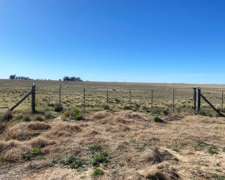 1.100 HÁS Coronel Pringles