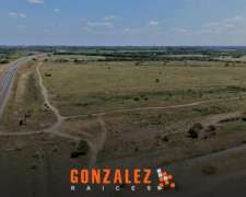 Campo en Pontevedra - 57 Hectareas