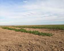 Vende Campo - 600 Ha - Zona El Cuadrado, Juan Jorba, S.l