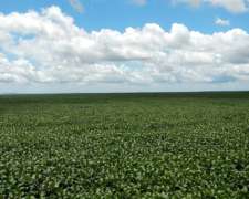 Vendo Hermosa Estancia Agrícola