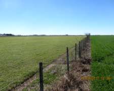 Santa Teresa - 178 Ha - Santa FE