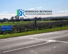 5.5 Hectáreas en Villa Elisa, ER. S/ Ruta 130