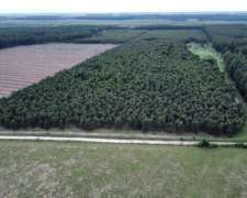 289 Has muy Buen Campo Forestal y Ganadero en Entre Ríos