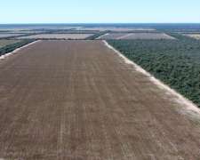 Venta 1000 Has Agrícolas en Anta