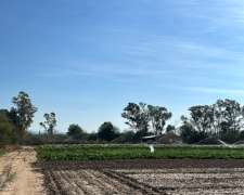 Campo en Venta 27ha. San Pedro,villa Dolores.