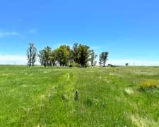 Excelente Campo de 127 Ha Sobre RN 226 Zona Carlos Tejedor