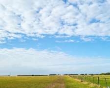 Venta De Campo En Tandil -1100 Ha
