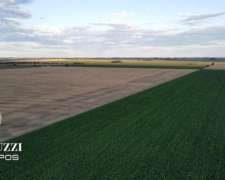 230 Ha Agricolas en los Cardos