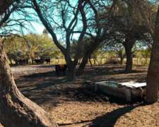 7.387 Ha Cuchillo CO, la Pampa