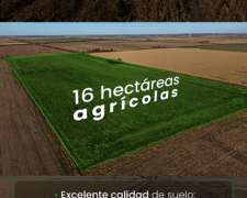 Santa Clara De Buena Vista 16 Has Agrícolas. Campo En Venta.