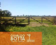 Campo Ganadero en Venta 135 Hectareas Chivilcoy