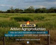 En Venta 5.500 Ha - Campo Ganadero en Salta